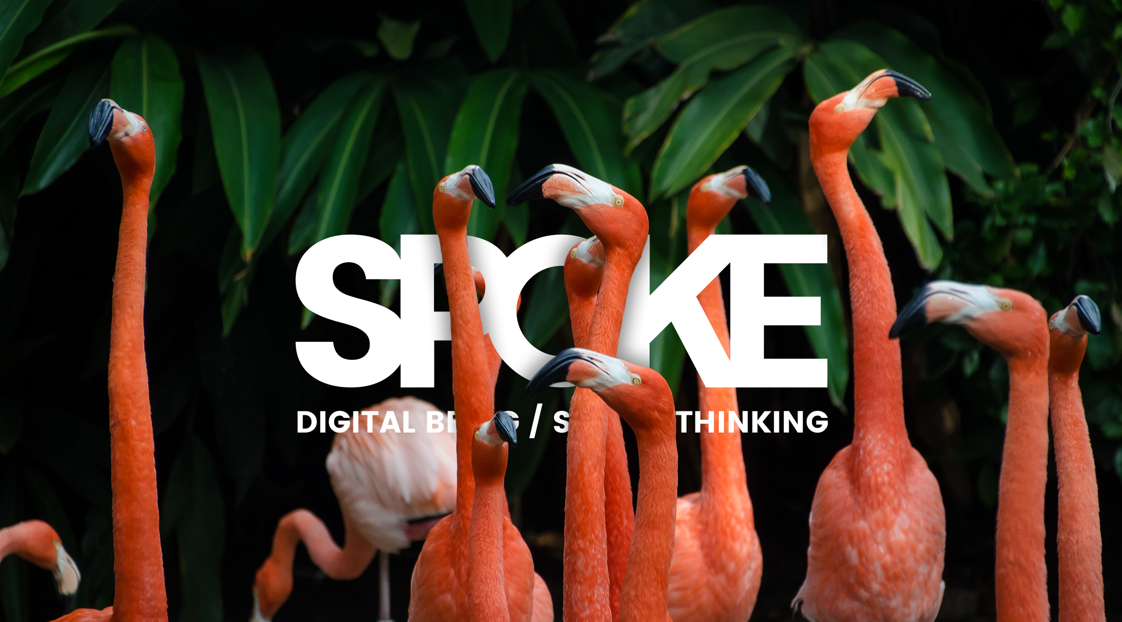 SPOKE Agence digitale spécialiste des médias sociaux