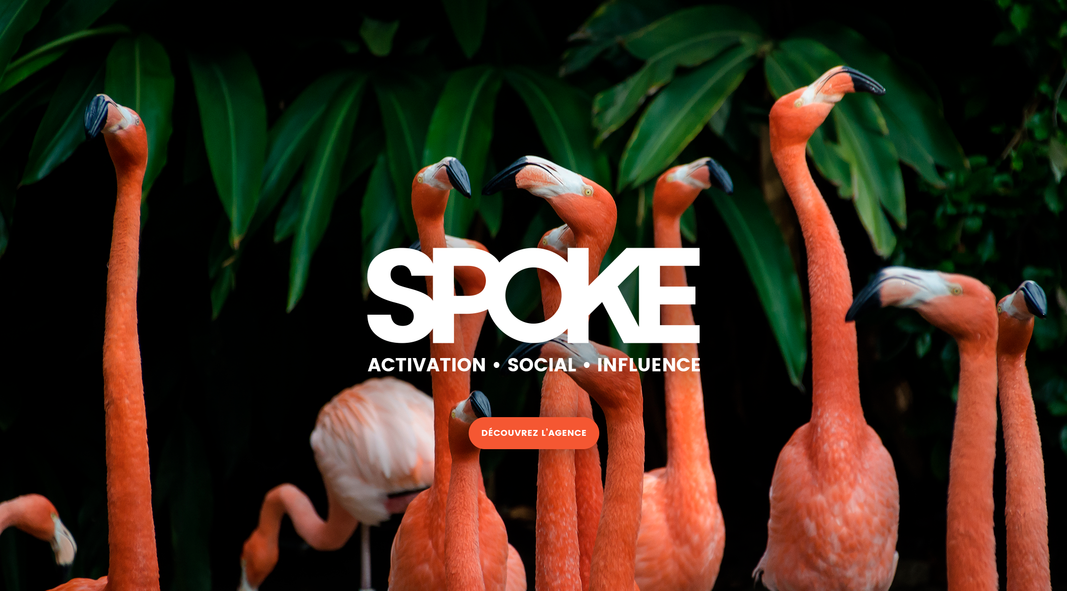 SPOKE Agence digitale spécialiste des médias sociaux